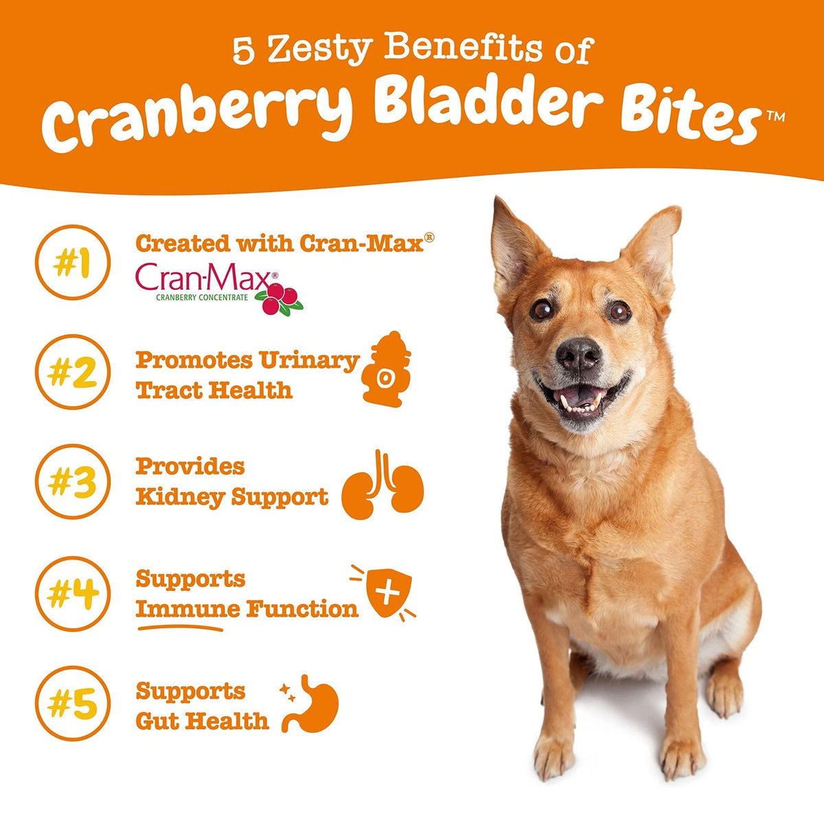 Cranberry Supplement for Dogs - 90 Count (Pack of 1)