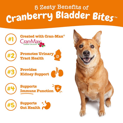 Cranberry Supplement for Dogs - 90 Count (Pack of 1)
