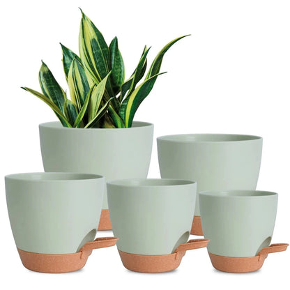 5-Pack Self-Watering Planters for Indoor House Plants (Drainage)