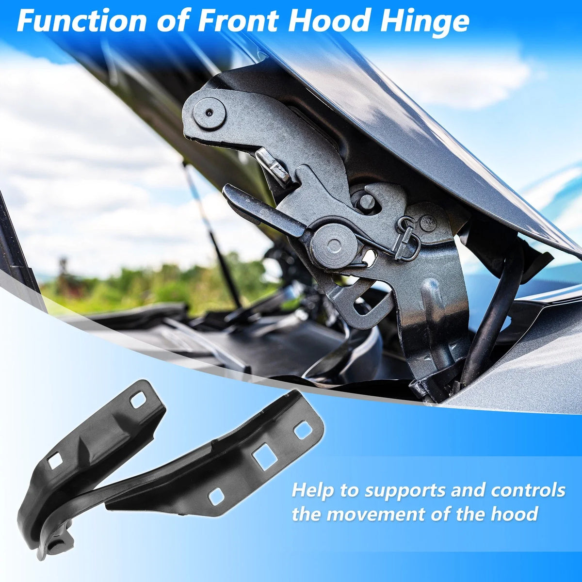 Front Hood Hinge for Chevy Colorado GMC Canyon (2015–2022) No. 23303047/23303048