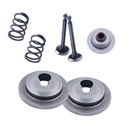 Valve Assembly for GX25 Lawn Mower (Professional Maintenance)