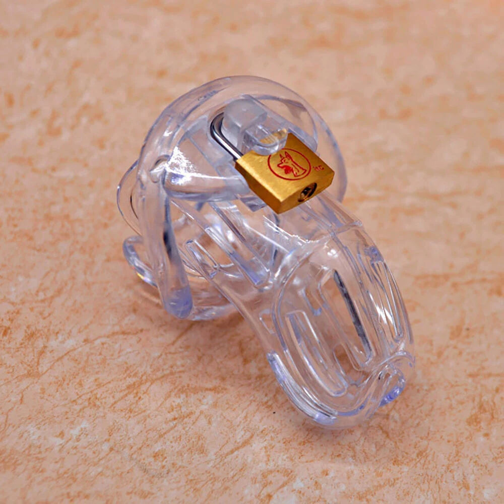 Male Chastity Device Corona Cage with 4 Size Rings (2022)