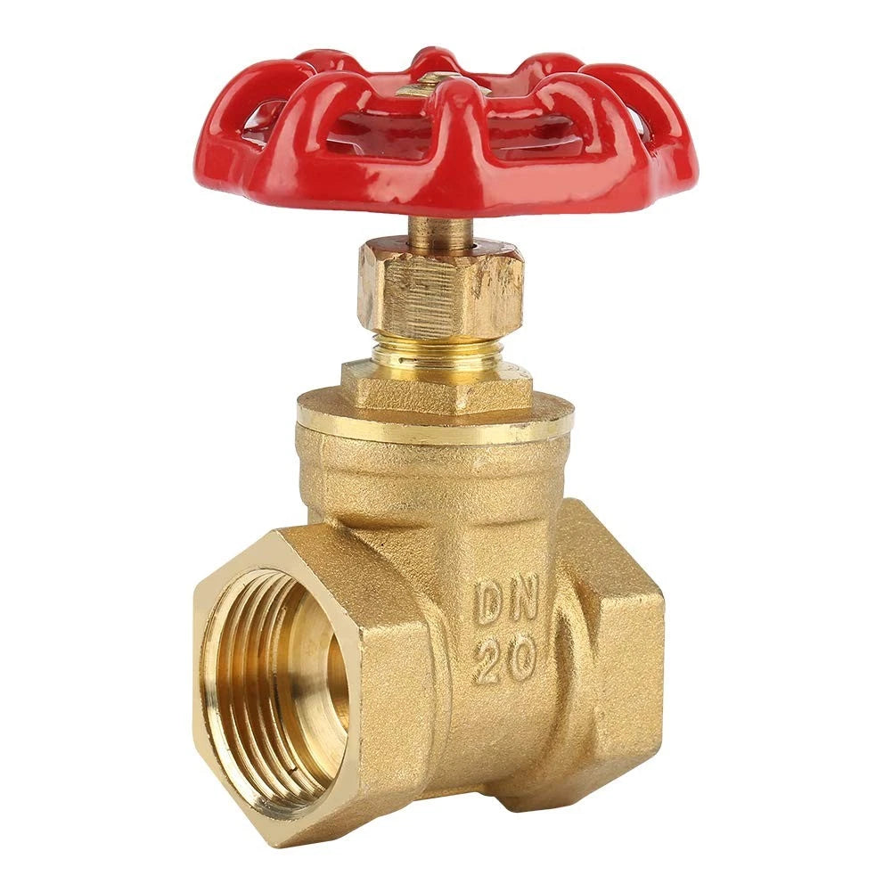 DN20 Brass Gate Valve for G3/4 Inch Rotary Compact (G3/4)