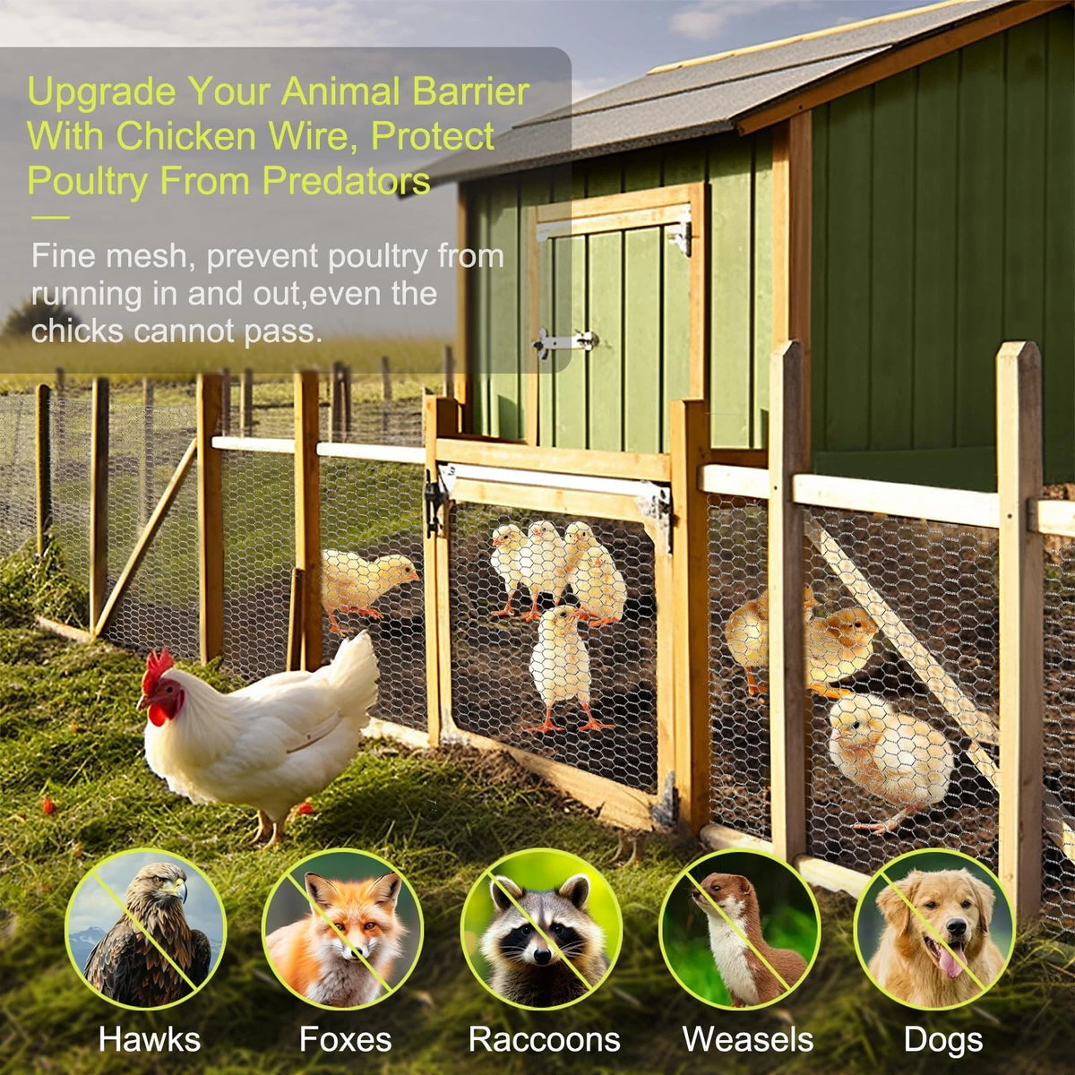 24 Inch Chicken Wire Fencing for Various Applications (24 x 720 Inches)