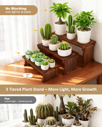 3 Tier Table Top Plant Stand for Home Decor (No Specific Years)
