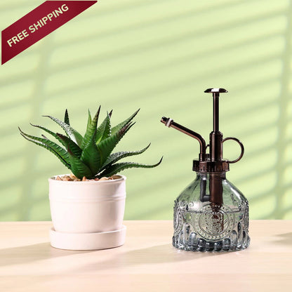 6.5" Glass Plant Mister for Indoor Plants (Gray+Bronze)