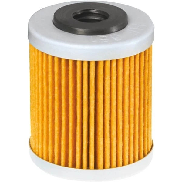 Hiflo Oil Filter HF651 for Motorcycles (Replacement Cartridge)