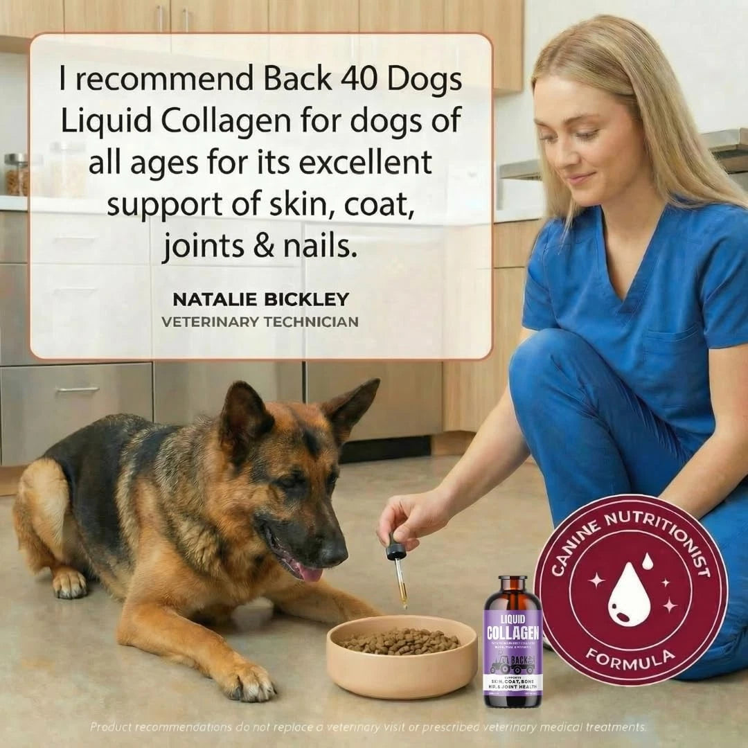 Premium Grass-Fed Liquid Collagen for Back 40 Dogs