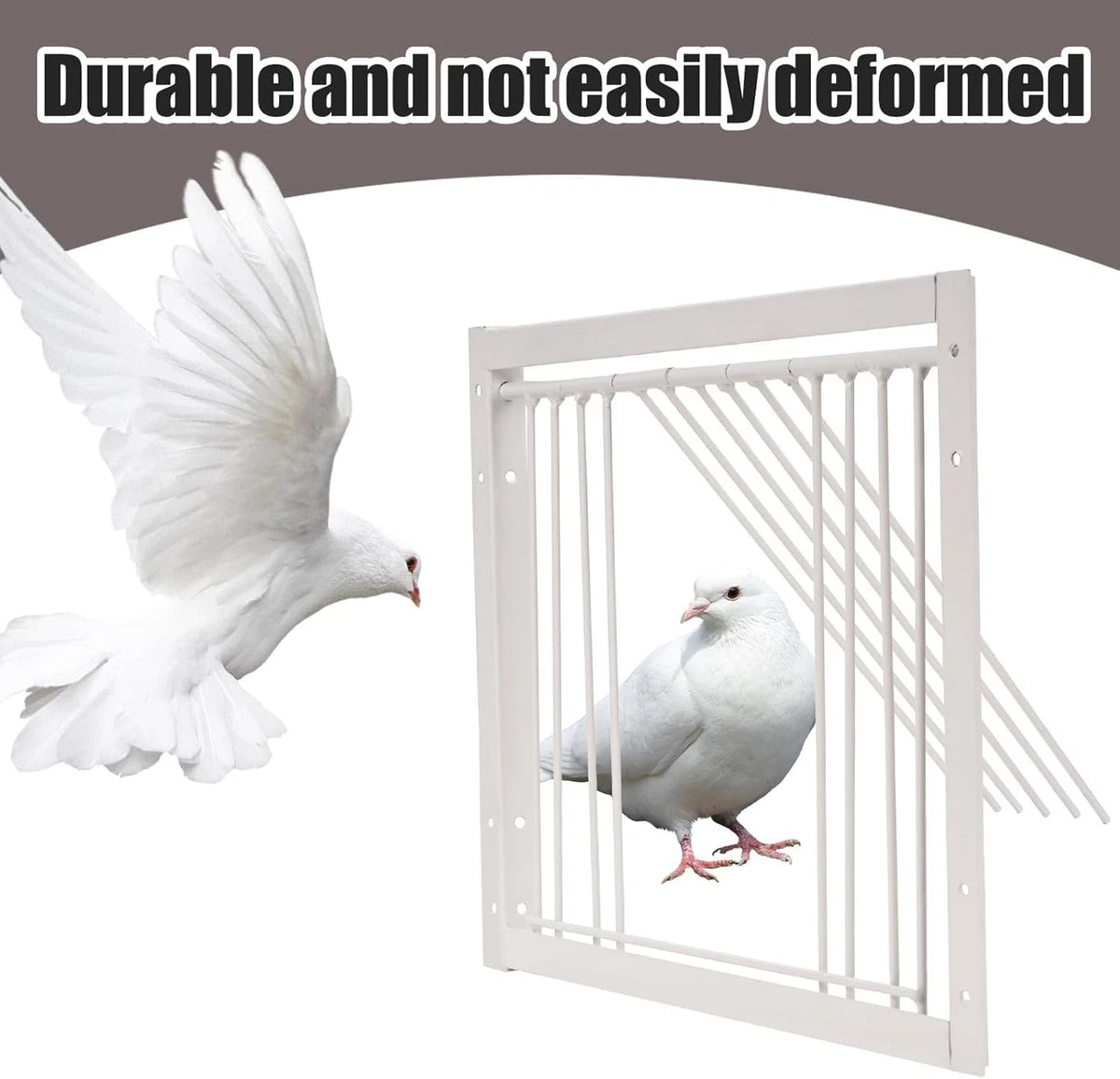 Iron Birdcage One Way Door Trap for Pigeons 11.8in
