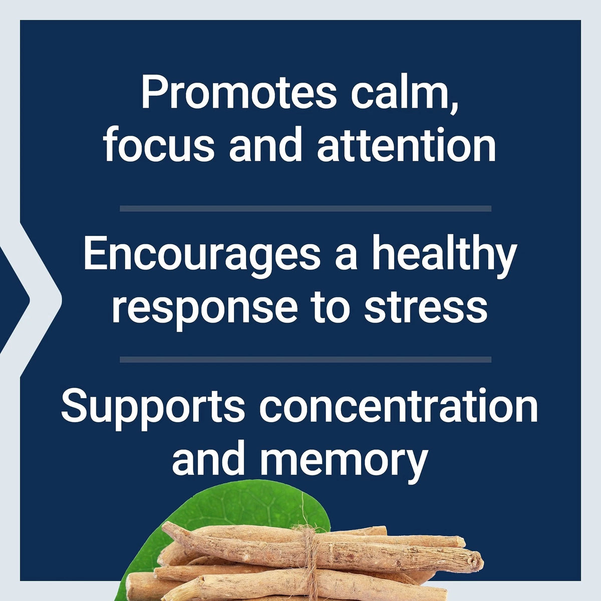 Ashwagandha Plus Calm & Focus for Life Extension (60 Count)