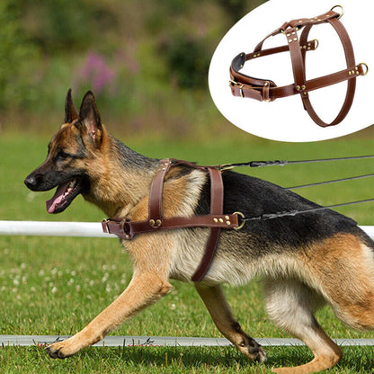 Large Brown Leather Dog Harness for Rottweiler (Adjustable)