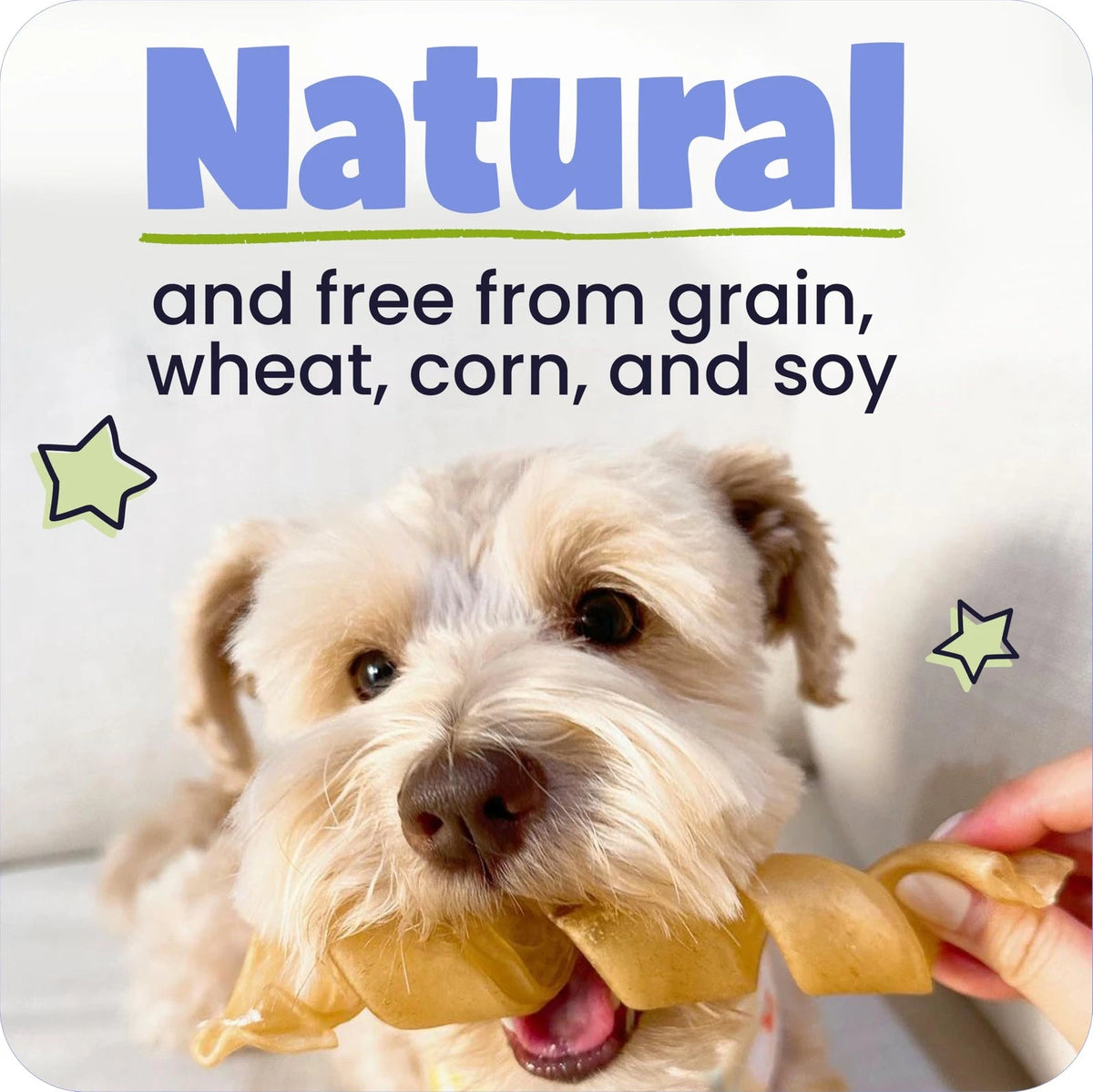 Beef Collagen Braids for Dogs (10-13”, Pack of 1)