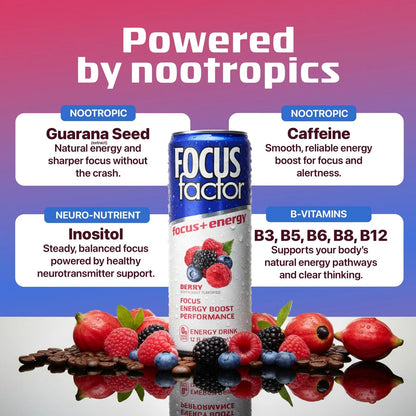 12X Focus Factor Energy Drink Cans (355ml) - Berry Flavor Pack