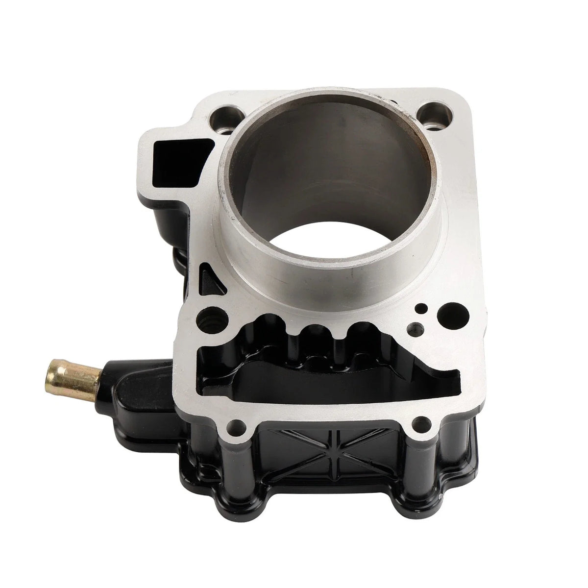 Cylinder Piston Kit for Bajaj Pulsar 200 NS RS200 BS3 BS4 BS6 (2012–2023)