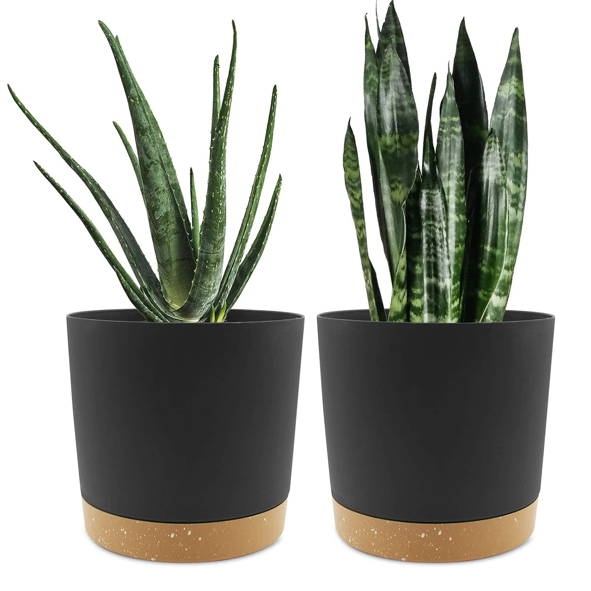 2X 8 Inch Plant Pots for Indoor Plants (Dark Grey)