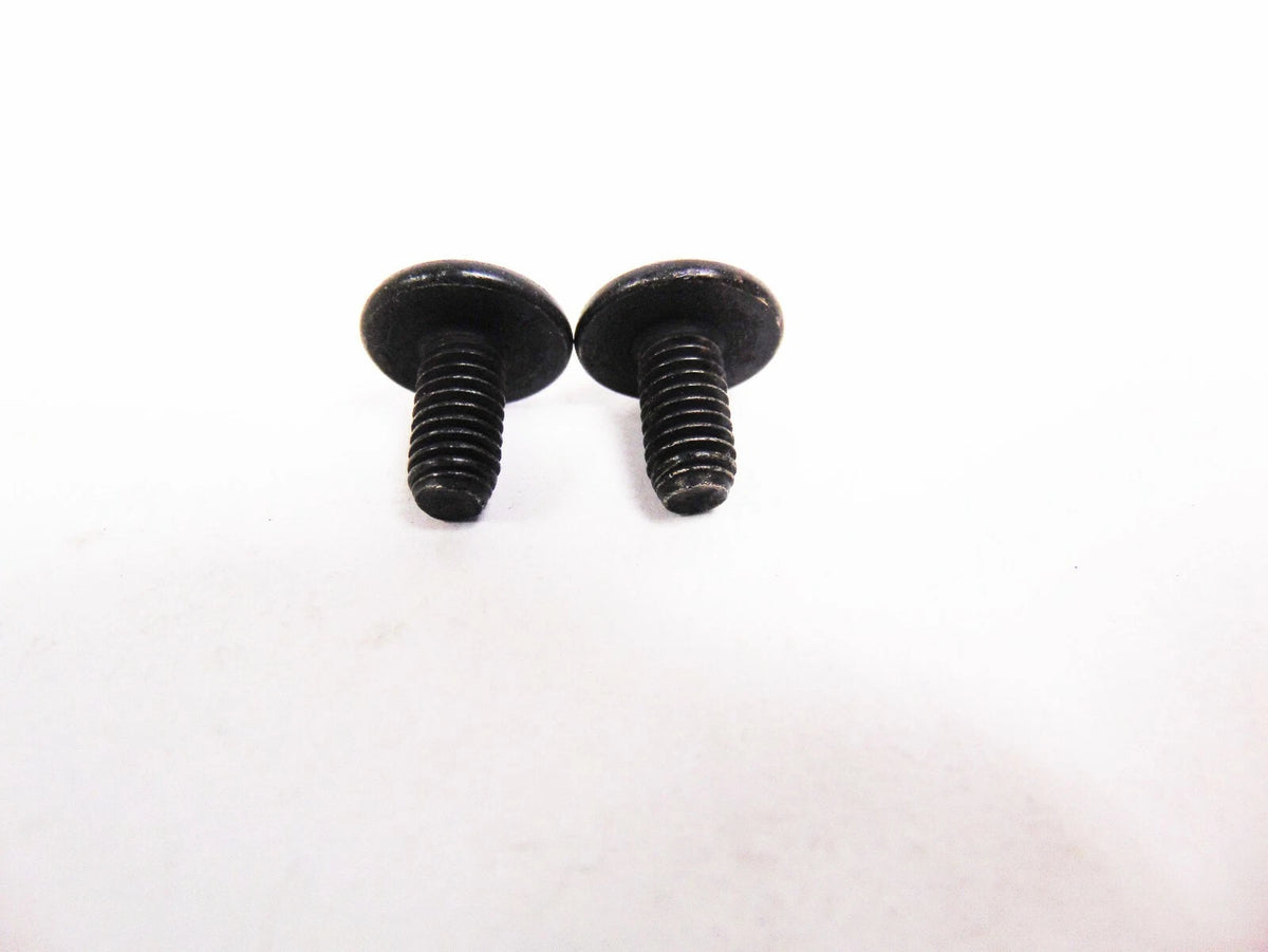 Set of 2 Screws for Arctic Cat ATV (0423-361)