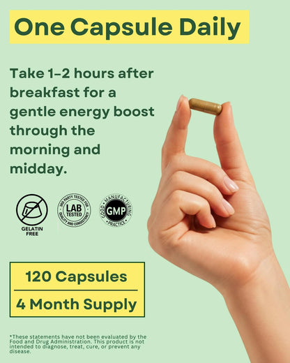 Agami Green Tea Capsules for Energy (120 Count, 4 Month Supply)