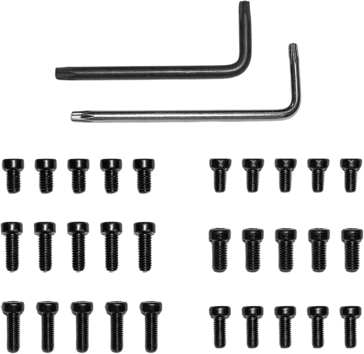 Set of 6 Gunsmithing Screws 6-48 & 8-40 for Firearms