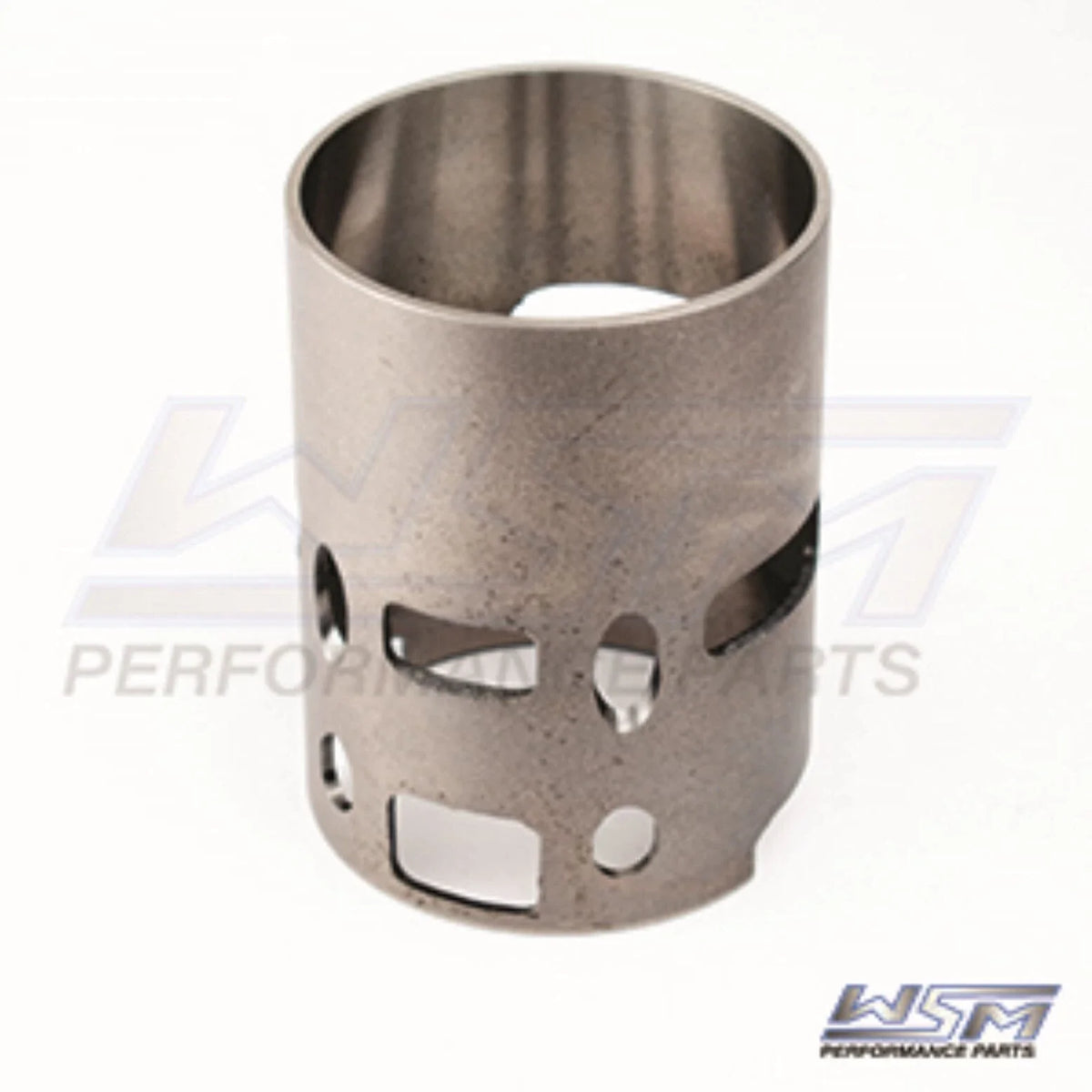 WSM Cylinder Sleeve for Johnson Evinrude 200-300 Hp 6 Cylinder (1993–2001) 250-119