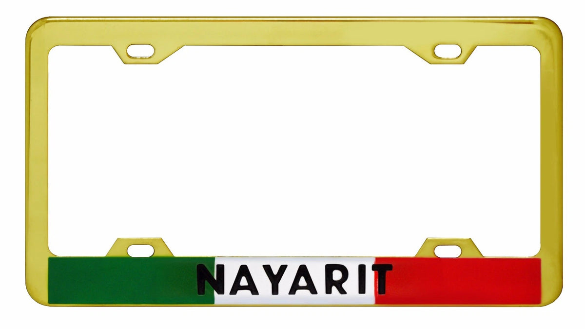 Metal License Plate Frame for Car Truck SUV (WL331G)