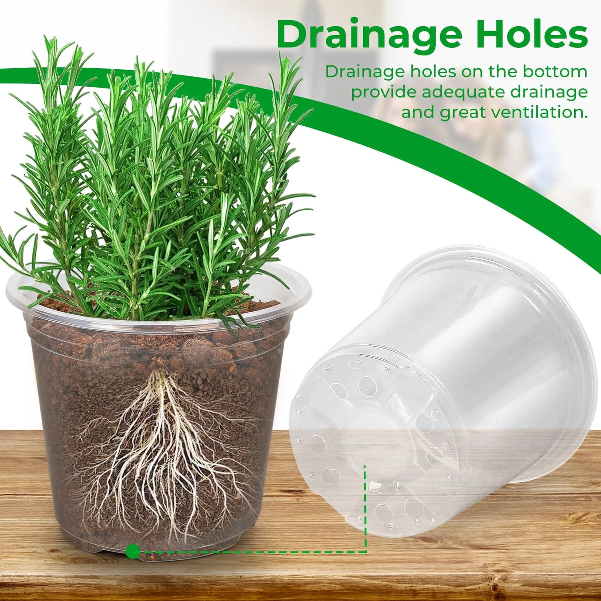 50 Pack Clear Nursery Pots for Various Plants (3/4/5/6/7 Inch)