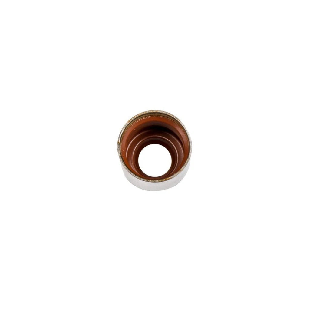 Engine Valve Stem Oil Seal Set for Chevy Tahoe (2000–2001) ALX-PAU-AC-12457652-CLA6