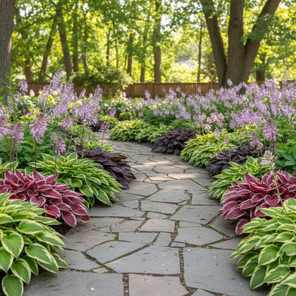 100+ Hosta Seeds for Planting Outdoors, Mixed Color Rare Perennial