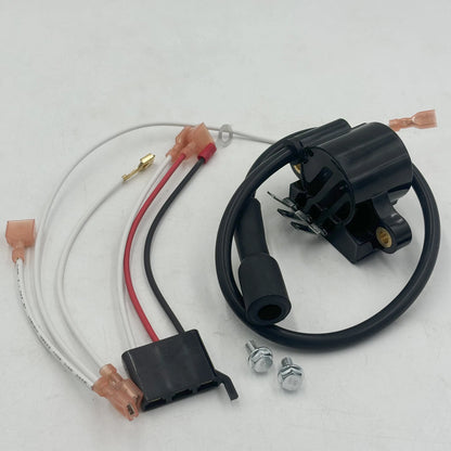 Digital Spark Ignition Module Kit for Kohler DSAI 