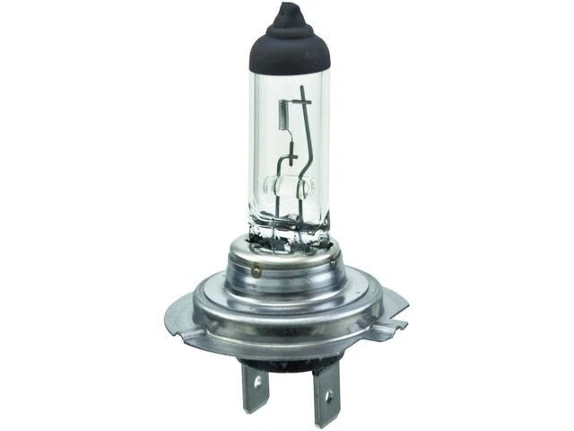Multi Purpose Light Bulb for Kia Spectra (2000–2004) 99823YZPD