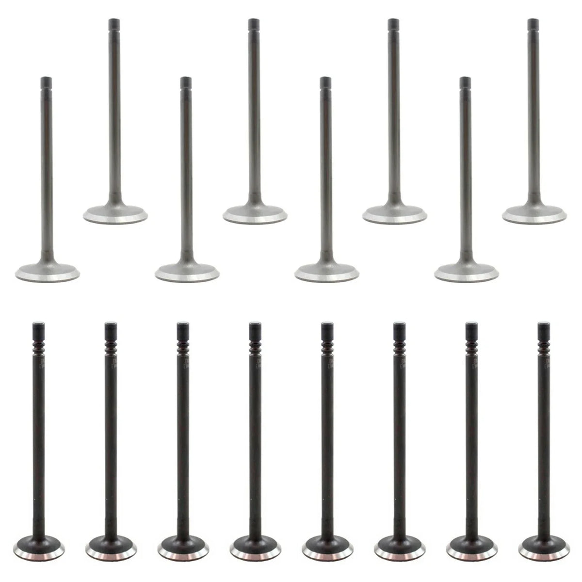 Set of 16 Intake & Exhaust Valves for Ford Escape Escort Focus Tribute (2001–2012)