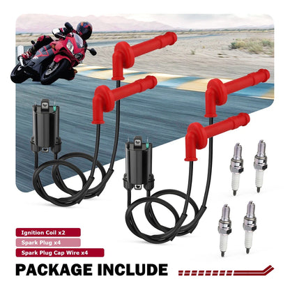 Set of 2 Ignition Coils with Spark Plugs for Honda CBR600F2/F3 (1991–1998)