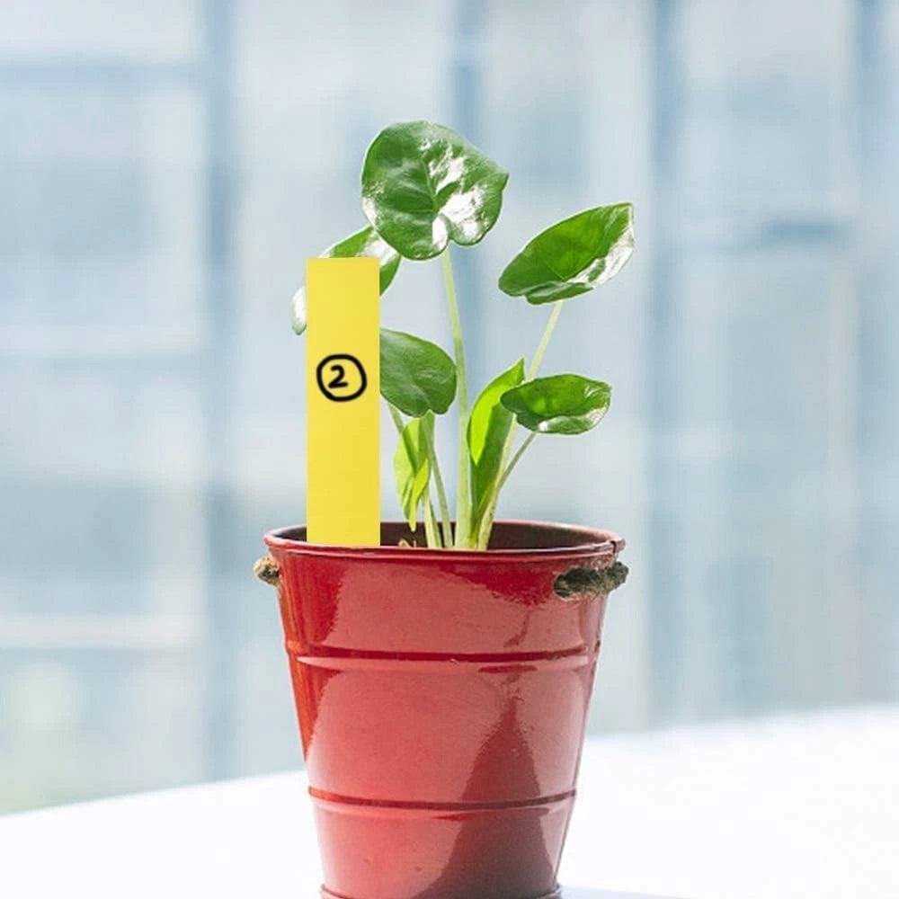500 Pcs Plastic Waterproof Garden Labels - 5 Colors (2X10CM)