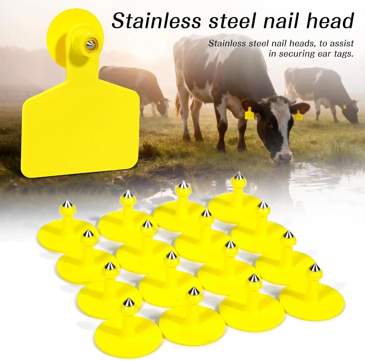 Plastic Cattle Ear Tag for Cattle Cow Horse Pig Sheep Goat (No Part Numbers)