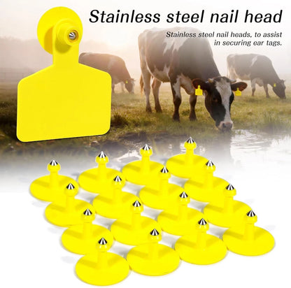 Plastic Cattle Ear Tag for Cattle Cow Horse Pig Sheep Goat (No Part Numbers)