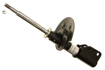 Shock Absorber for Buick LeSabre (2000–2005)