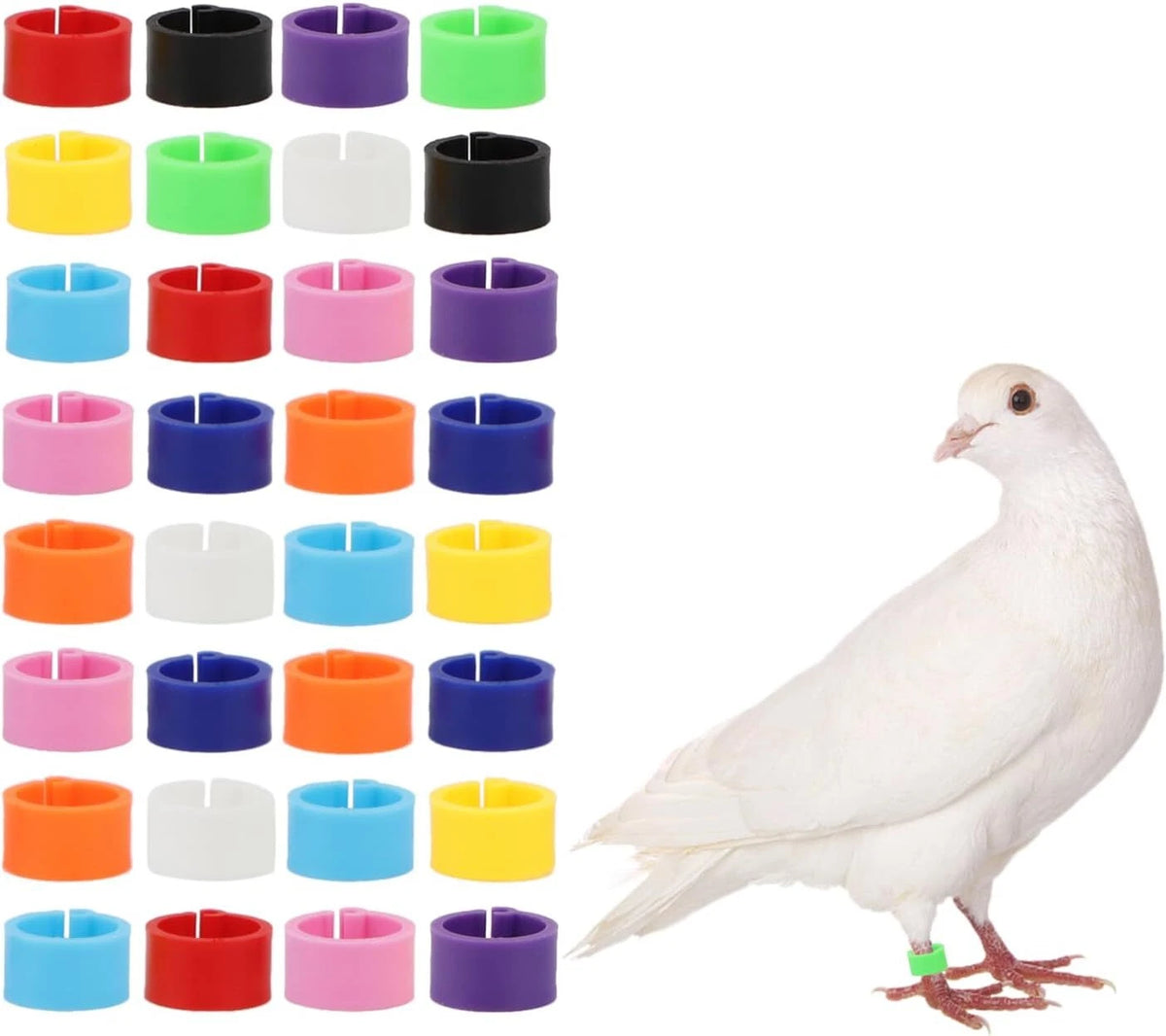 100PCS Poultry Leg Rings for Quail, Chicks, Pullets