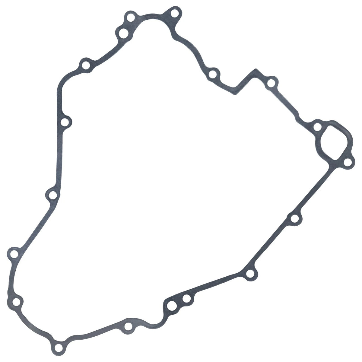 Stator Gasket for Kawasaki Teryx 4 750 (2012–2013) GT424 - LAR