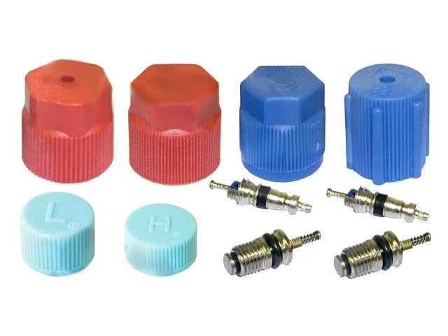 A/C System Valve Core and Cap Kit for Jaguar XJ6 (1994–1997) JK628QW