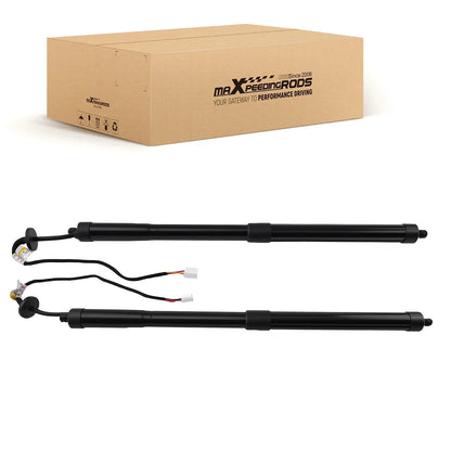 2pc Rear Tailgate Gas Struts for Lexus NX300 NX300h (2018–2021)
