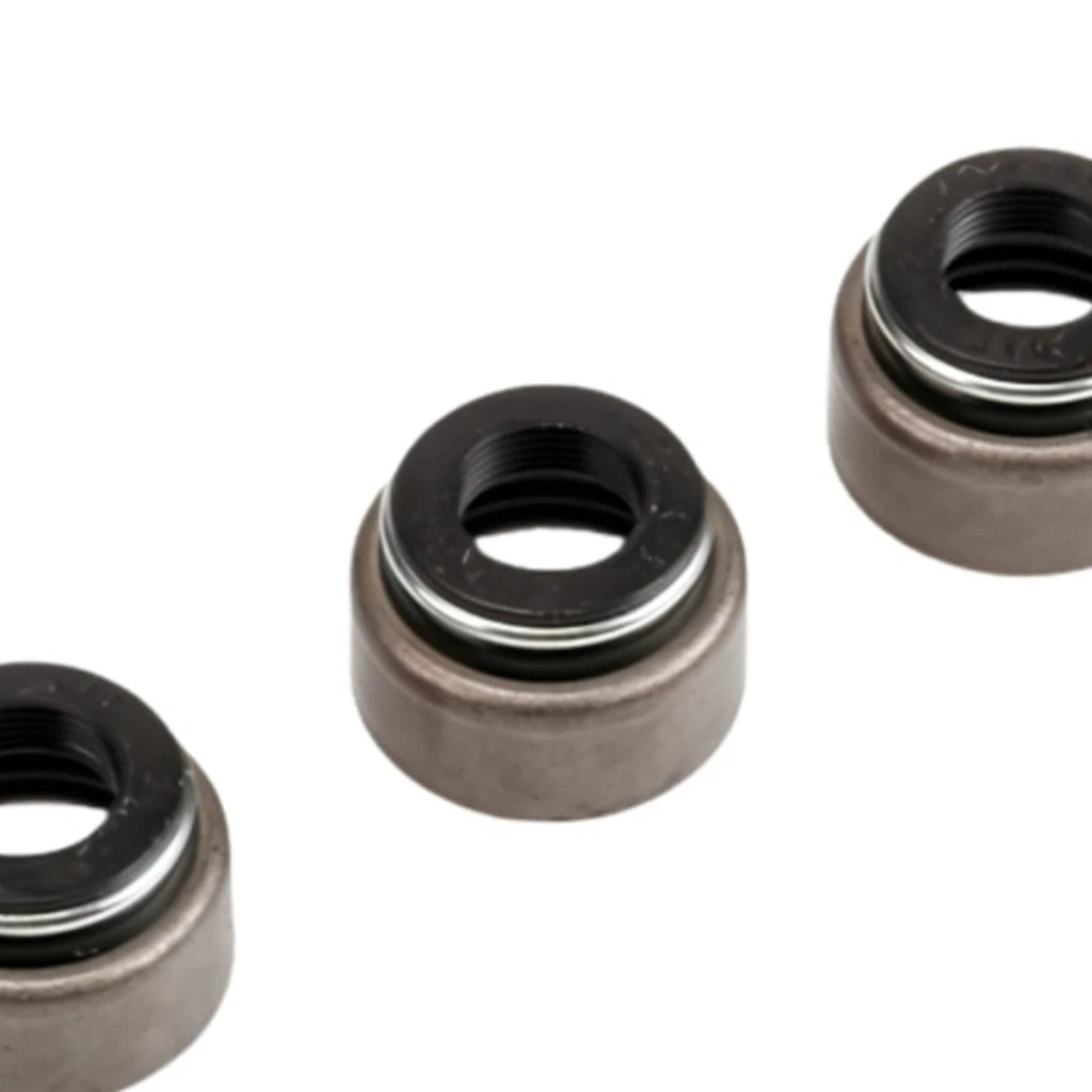 Valve Stem Oil Seal for Chevy Express 3500 (2001–2002) ALX-PAU-AC-12555601-CLA5