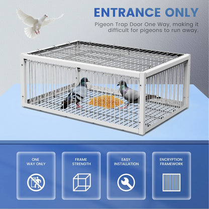 Pigeon Trap Cage for Small Birds - Folding One-Way Silver