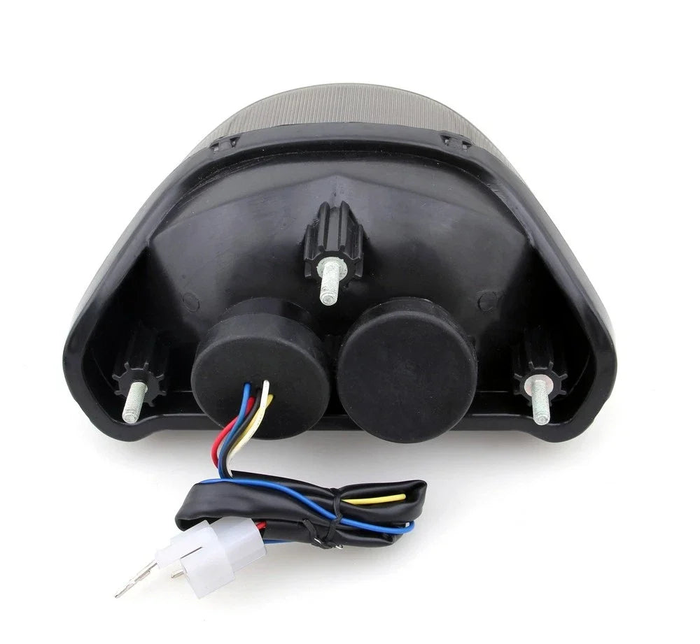 Integrated LED TailLight Turn Signals for Kawasaki Ninja ZX12R (2000–2005) Smoke