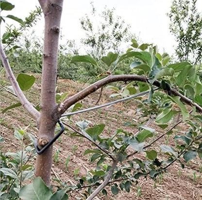 Limb Spreaders for Fruit Trees