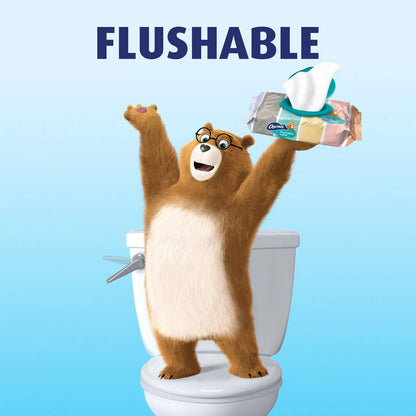 40 Count Charmin Flushable Wipes for All Models (2010–2023)