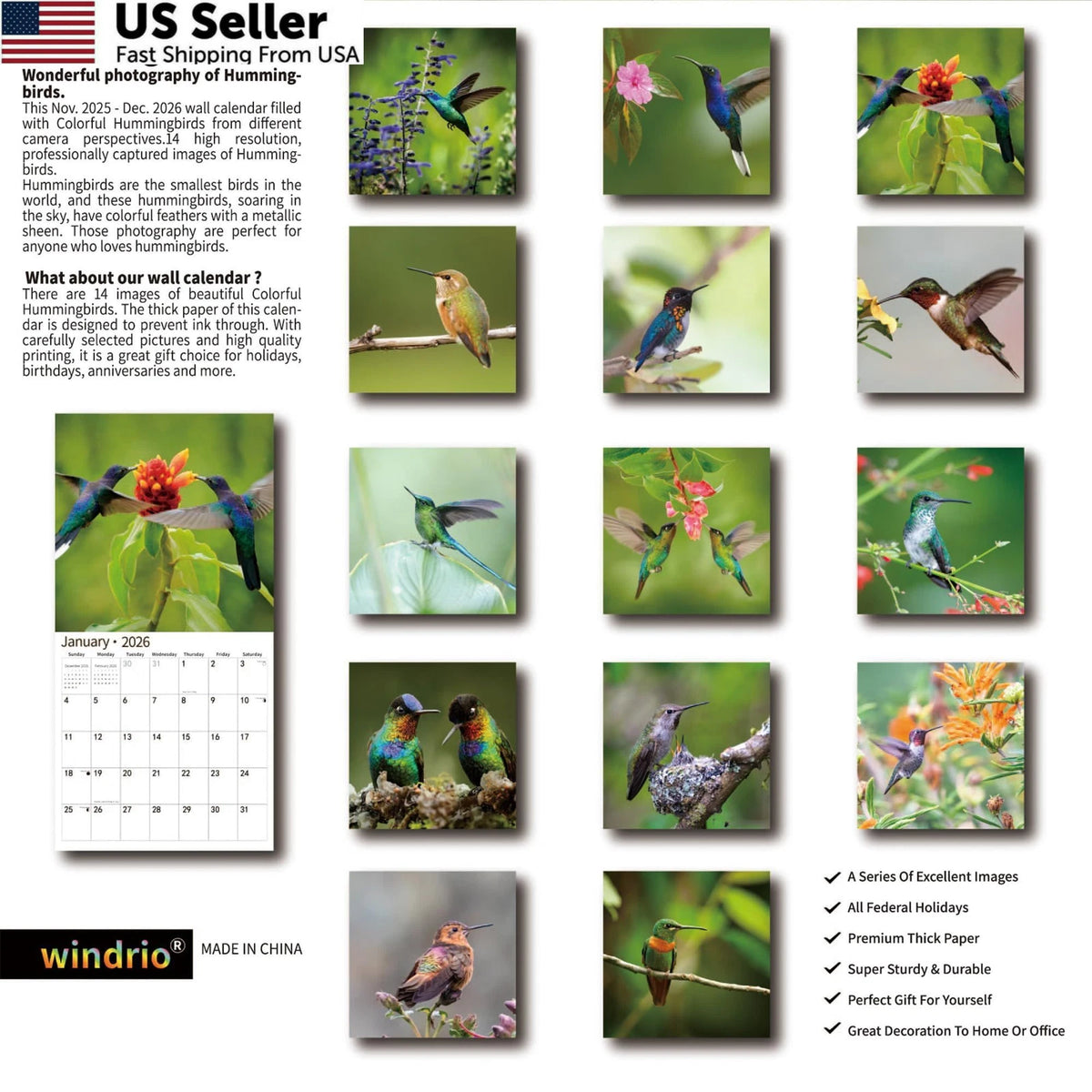 2026 Wall Calendar for Hummingbirds (November 2025 - 12"x24")