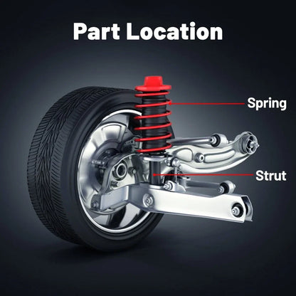 Front Pair Complete Struts & Spring Assemblies for BMW 323i (1999–2000)