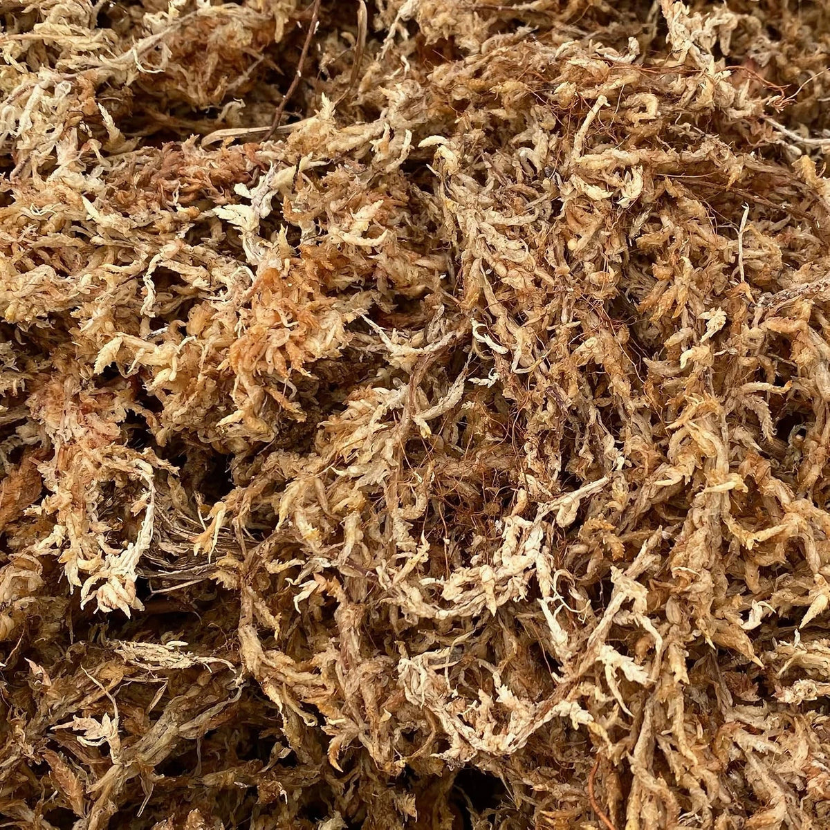 100% Natural Long-Fiber Sphagnum Moss for Orchids and Ferns