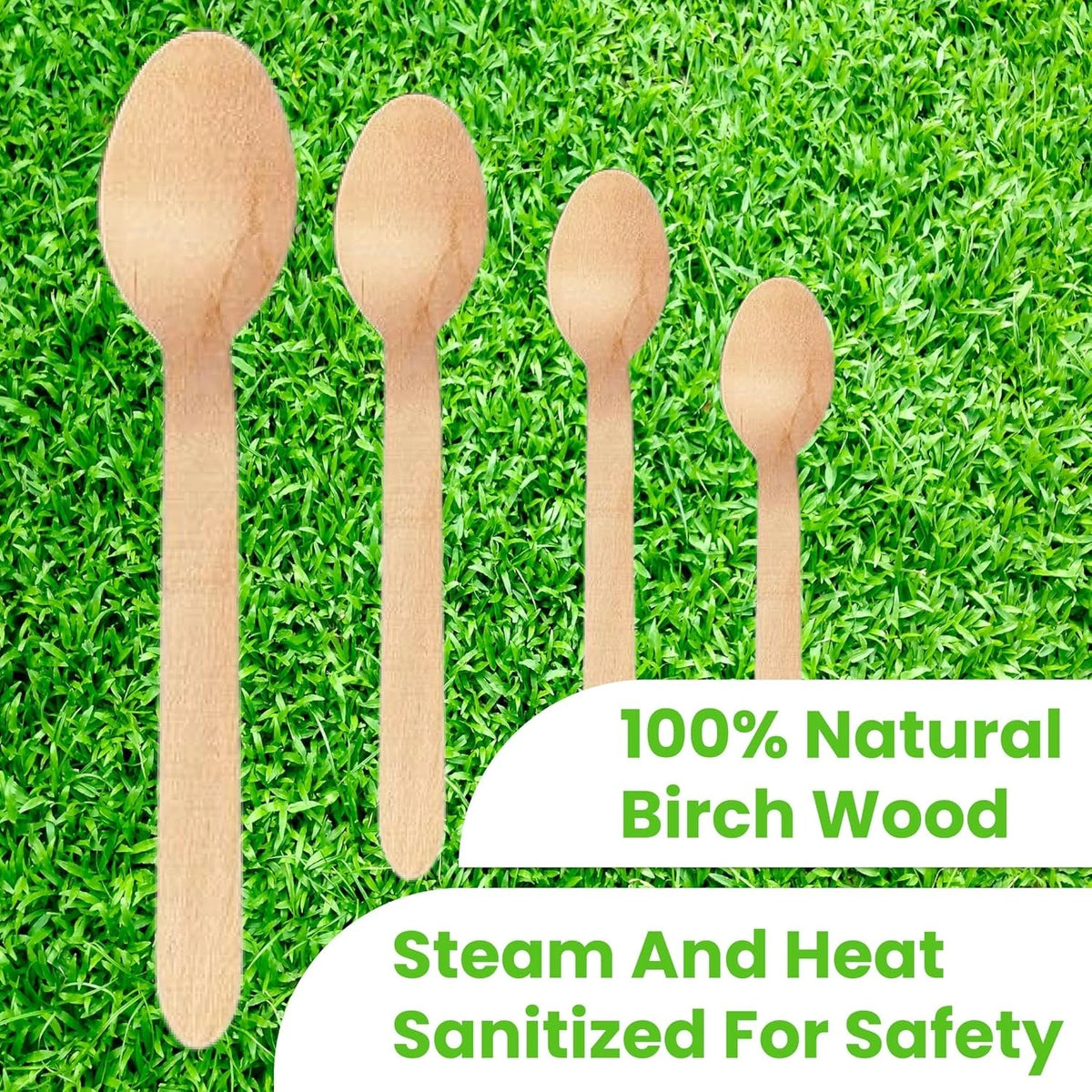 Set of 50 Disposable Wooden Cutlery Spoons, Compostable, 6.25 Inch