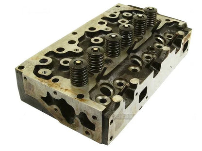 Cylinder Head for Massey Ferguson 135 148 230 240 250 550 350 (AD3.152)