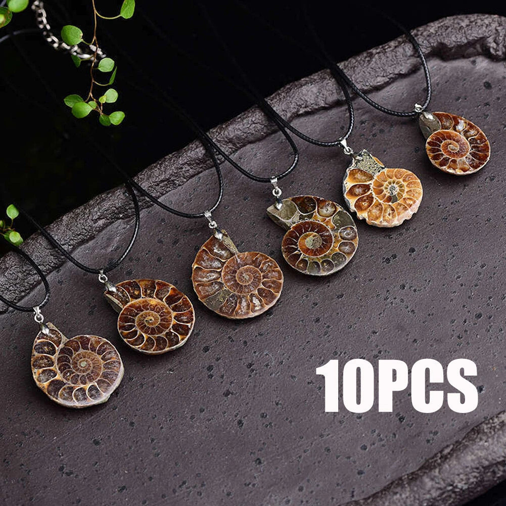 10PC Natural Quartz Crystal Conch Fossil Pendant Necklace